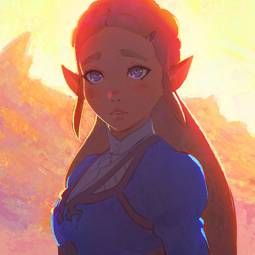 1girl blue_eyes brown_hair ilya_kuvshinov long_hair looking_at_viewer parted_lips pointy_ears princess_zelda solo the_legend_of_zelda the_legend_of_zelda:_breath_of_the_wild