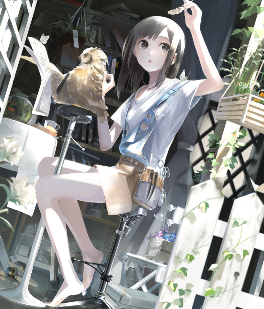 1girl :o aspara bare_legs barefoot belt_pouch black_eyes black_hair bookshelf casual day feathers from_side full_body highres long_hair looking_up monster original overalls parted_lips shirt short_sleeves shorts sitting solo t-shirt white_shirt