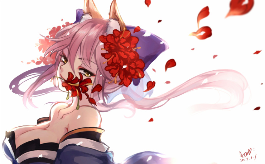 1girl animal_ears breasts cleavage collarbone dated detached_sleeves fate/extra fate_(series) flower flower_in_mouth fox_ears hair_flower hair_ornament hair_ribbon japanese_clothes large_breasts looking_at_viewer looking_to_the_side petals pink_hair puyue ribbon signature simple_background solo tamamo_(fate)_(all) tamamo_no_mae_(fate) white_background yellow_eyes