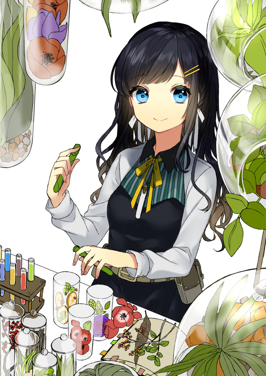 1girl absurdres apron bangs belt black_apron black_hair blue_eyes braid breasts closed_mouth cup eyebrows_visible_through_hair flower hair_ornament hairclip highres leaf long_sleeves looking_at_viewer medium_breasts original plant ribbon shirt simple_background smile sogawa66 solo swept_bangs test_tube test_tube_rack wavy_hair white_background white_shirt yellow_ribbon