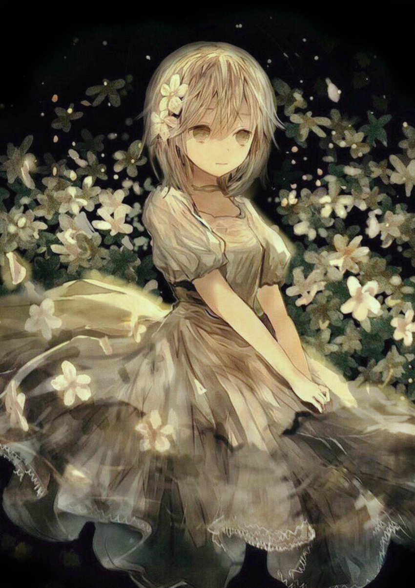 1girl absurdres bangs black_background blonde_hair closed_mouth dress expressionless flower hair_between_eyes hair_flower hair_ornament highres opopowa original own_hands_together puffy_short_sleeves puffy_sleeves short_sleeves solo white_dress white_flower yellow_eyes