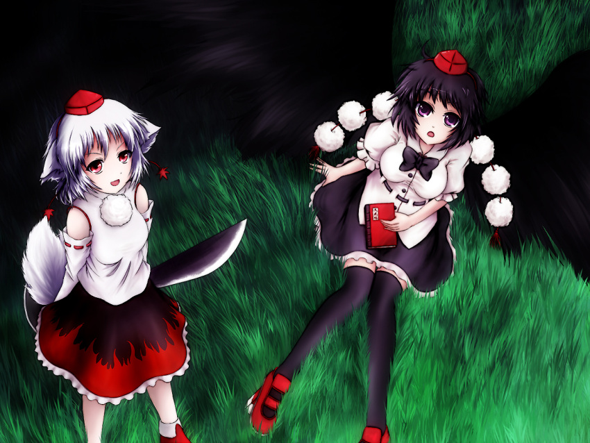 hat hiromi hiromi_(artist) inubashiri_momiji shameimaru_aya tengu-geta thigh-highs thighhighs touhou zettai_ryouiki