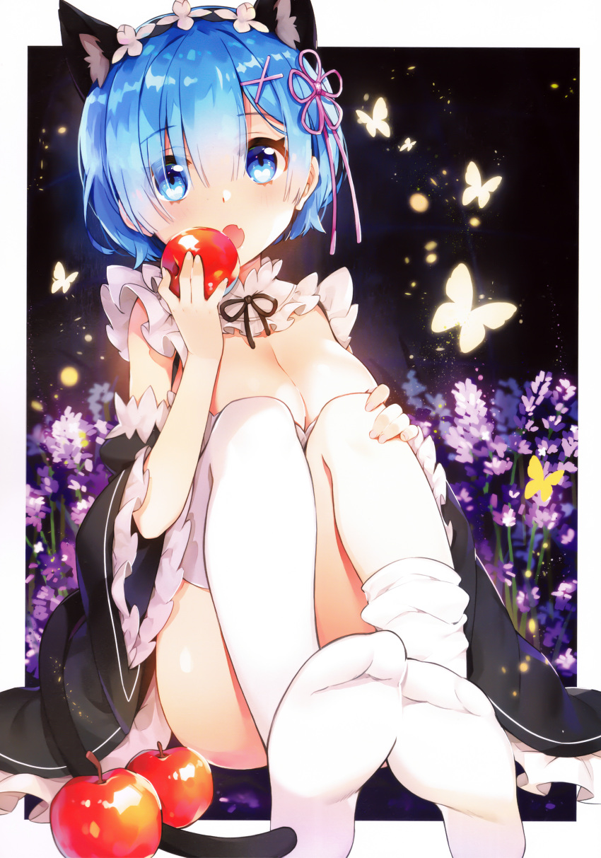 1girl :o absurdres animal_ears apple ayami_(annahibi) blue_eyes blue_hair blush breasts butterfly cat_ears cat_tail cleavage commentary_request detached_sleeves eyebrows_visible_through_hair eyes_visible_through_hair fang feet food frilled_sleeves frills fruit hair_ornament hair_over_one_eye hand_on_own_knee highres holding holding_food holding_fruit large_breasts legs_together looking_at_viewer maid no_shoes open_mouth purple_flower re:zero_kara_hajimeru_isekai_seikatsu rem_(re:zero) revision scan short_hair sitting soles solo tail thigh-highs white_legwear wide_sleeves x_hair_ornament