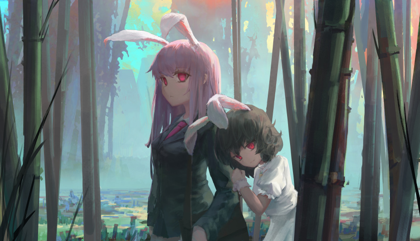 2girls absurdres animal_ears bamboo bamboo_forest dress forest highres inaba_tewi multiple_girls nature pink_hair rabbit_ears red_eyes reisen_udongein_inaba touhou white_dress wwgyouxv