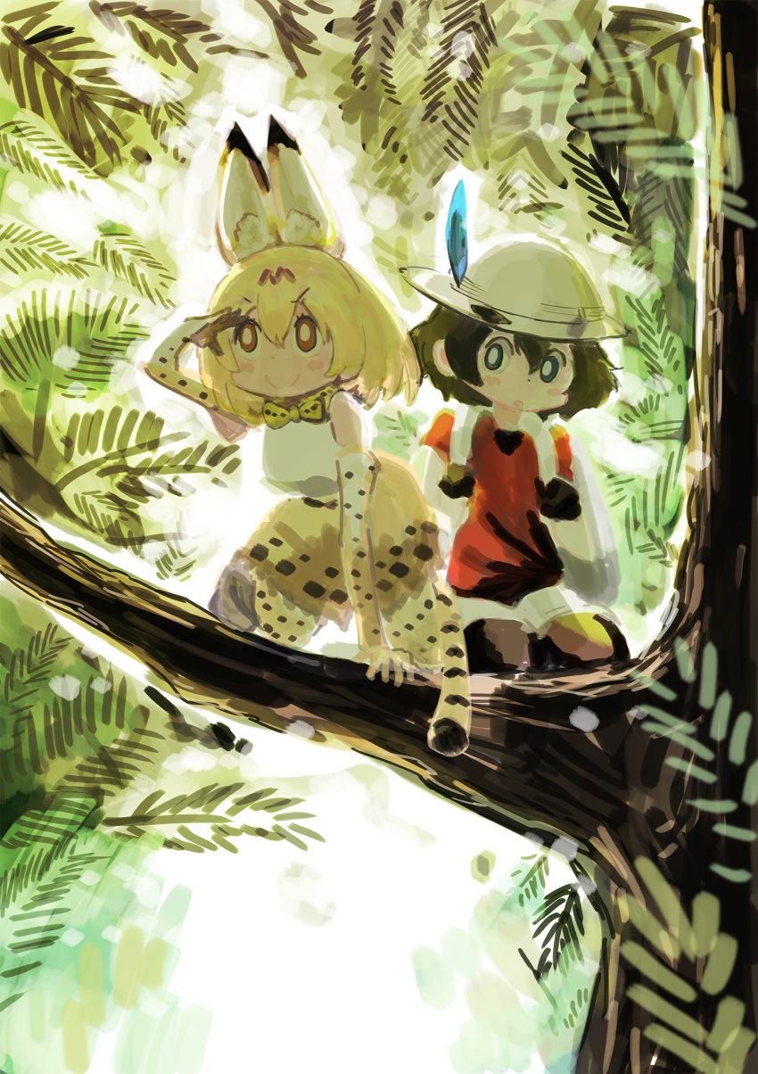 &gt;:) 2girls :o animal_ears arm_up backpack bag bare_shoulders black_gloves blonde_hair blue_eyes blush_stickers bow bowtie brown_hair elbow_gloves feathers gloves hair_between_eyes hand_on_forehead hat highres kaban karaagetarou kemono_friends kneeling leaf light_brown_eyes looking_afar looking_to_the_side multiple_girls nature open_mouth outdoors palm_leaf palm_tree pantyhose red_shirt safari_hat sanpaku serval_(kemono_friends) serval_ears serval_tail shirt short_hair short_sleeves shorts sitting sketch sleeveless sleeveless_shirt smile t-shirt tail tareme tree tree_branch wariza white_pupils white_shirt