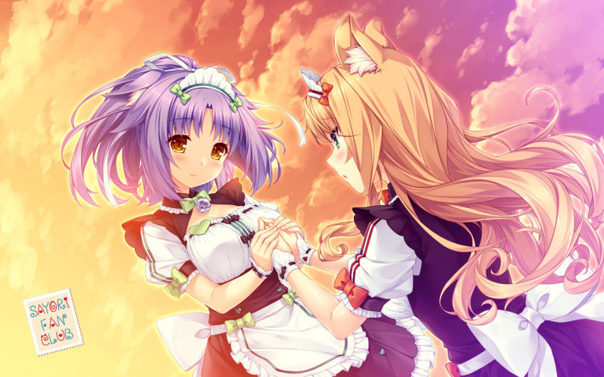 2girls animal_ears apron artist_name bell blonde_hair bow bowtie breasts cat_ears cinnamon_(sayori) cleavage_cutout clouds curly_hair dutch_angle eye_contact eyebrows_visible_through_hair green_eyes hair_ribbon hand_holding hands_together heart jingle_bell large_breasts long_hair long_image looking_at_another maid maid_headdress maple_(sayori) multiple_girls nekopara ponytail puffy_short_sleeves puffy_sleeves purple_hair ribbon ribbon-trimmed_clothes ribbon_trim sayori short_sleeves sky smile sunset waist_apron wide_image wrist_cuffs yellow_eyes