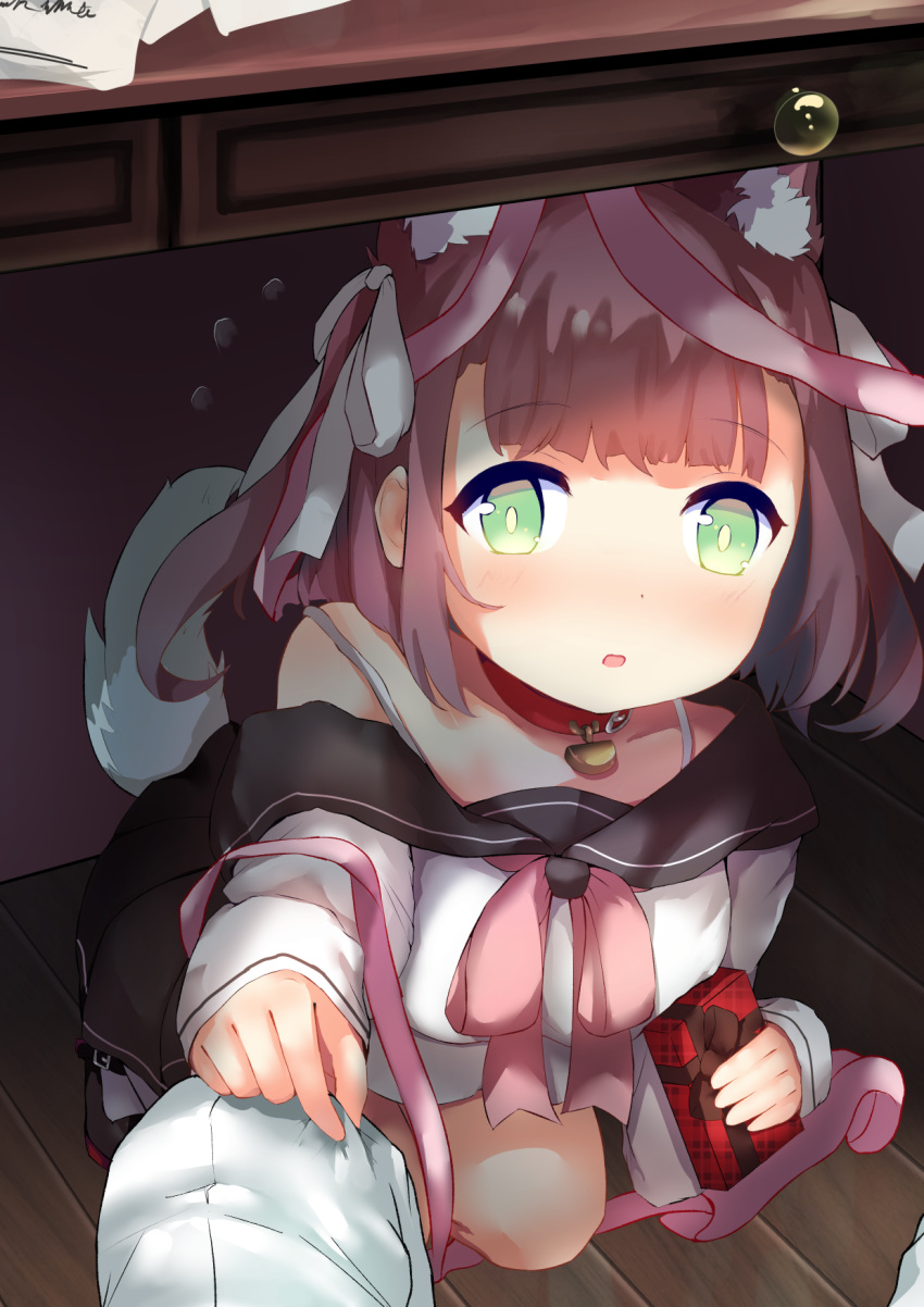 1boy 1girl admiral_(azur_lane) animal_ears azur_lane bow brown_hair clothes_grab collar commentary_request desk dog_ears dog_tail from_above green_eyes hair_bow hair_ribbon highres looking_at_viewer looking_up momiji_manjuu_(usagiblackmore) out_of_frame pleated_skirt pov ribbon school_uniform serafuku shiratsuyu_(azur_lane) short_hair skirt squatting tail under_table valentine wooden_floor