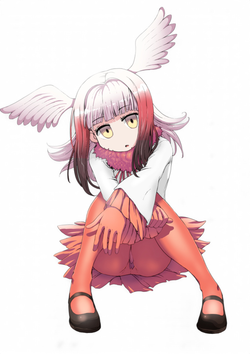 1girl bangs bird_tail black_shoes blunt_bangs crested_ibis_(kemono_friends) full_body gloves head_wings highres kemono_friends long_sleeves looking_at_viewer medium_hair miniskirt moyamu multicolored_hair pantyhose pleated_skirt red_gloves red_legwear red_skirt shirt shoes silver_hair simple_background sitting skirt solo two-tone_hair white_background white_shirt yellow_eyes