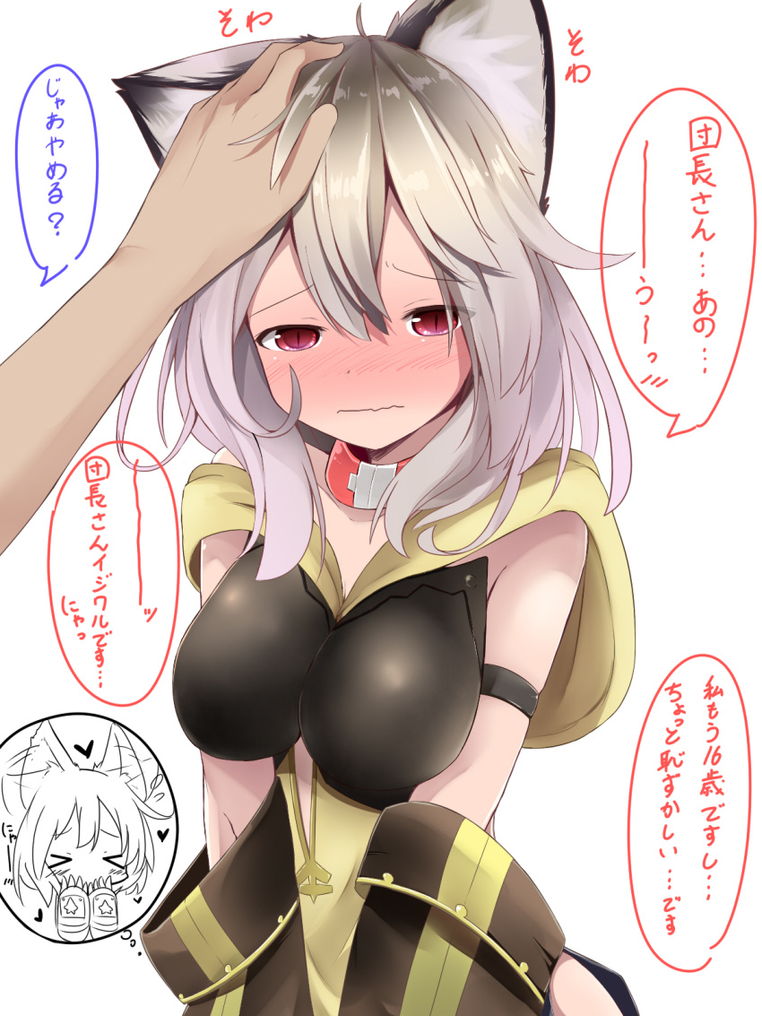 1girl animal_ears blush breasts collar erun_(granblue_fantasy) granblue_fantasy hair_between_eyes hand_on_another's_head highres looking_at_viewer makuran petting red_eyes sen_(granblue_fantasy) short_hair silver_hair simple_background solo_focus translation_request v_arms white_background