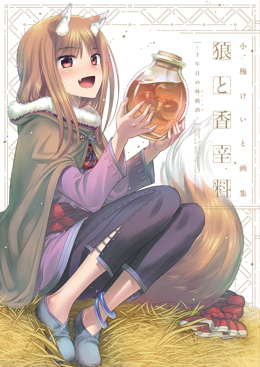 1girl absurdres animal_ears anklet brown_hair cloak fang food highres holo jar jewelry koume_keito long_hair long_sleeves official_art open_mouth pouch purple_shirt red_eyes shirt shoes spice_and_wolf tail wolf_ears wolf_tail