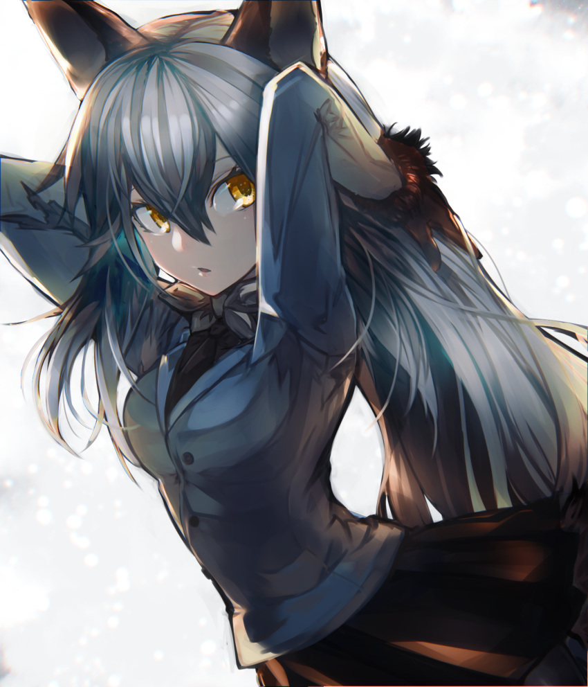 1girl :o animal_ears arms_behind_head arms_up bangs black_bow black_necktie black_shirt bow bowtie breasts brown_gloves brown_skirt buttons dress_shirt eyebrows_visible_through_hair fox_ears fur-trimmed_sleeves fur_trim gloves grey_bow grey_bowtie grey_hair grey_jacket hair_between_eyes hands_in_hair highres jacket kemono_friends kusakanmuri long_hair long_sleeves looking_away medium_breasts miniskirt necktie open_mouth pleated_skirt pocket shirt silver_fox_(kemono_friends) silver_hair skirt small_breasts solo standing upper_body very_long_hair yellow_eyes