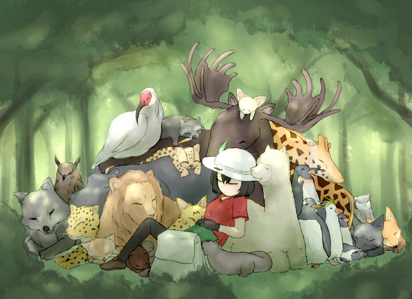 alpaca animal backpack bag bird black_gloves black_hair bucket_hat gloves grey_wolf guro_mental hair_between_eyes hat hat_feather highres kaban kemono_friends lion margay moose otter owl penguin raccoon sand_cat serval shirt short_hair shorts t-shirt wavy_hair