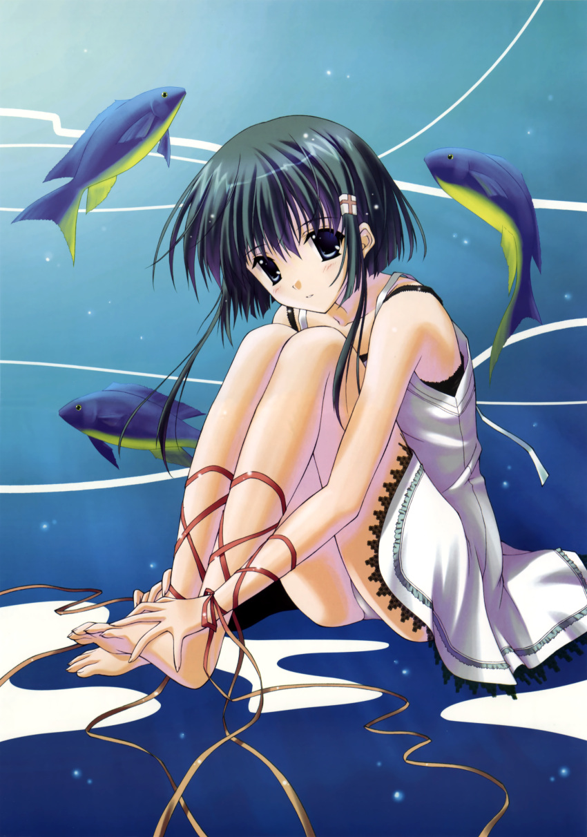 1girl absurdres blue_eyes copyright_request fish fixed green_hair highres knees_on_chest knees_together_feet_together legs nanao_naru panties pantyshot ribbon short_hair sitting underwear white_panties