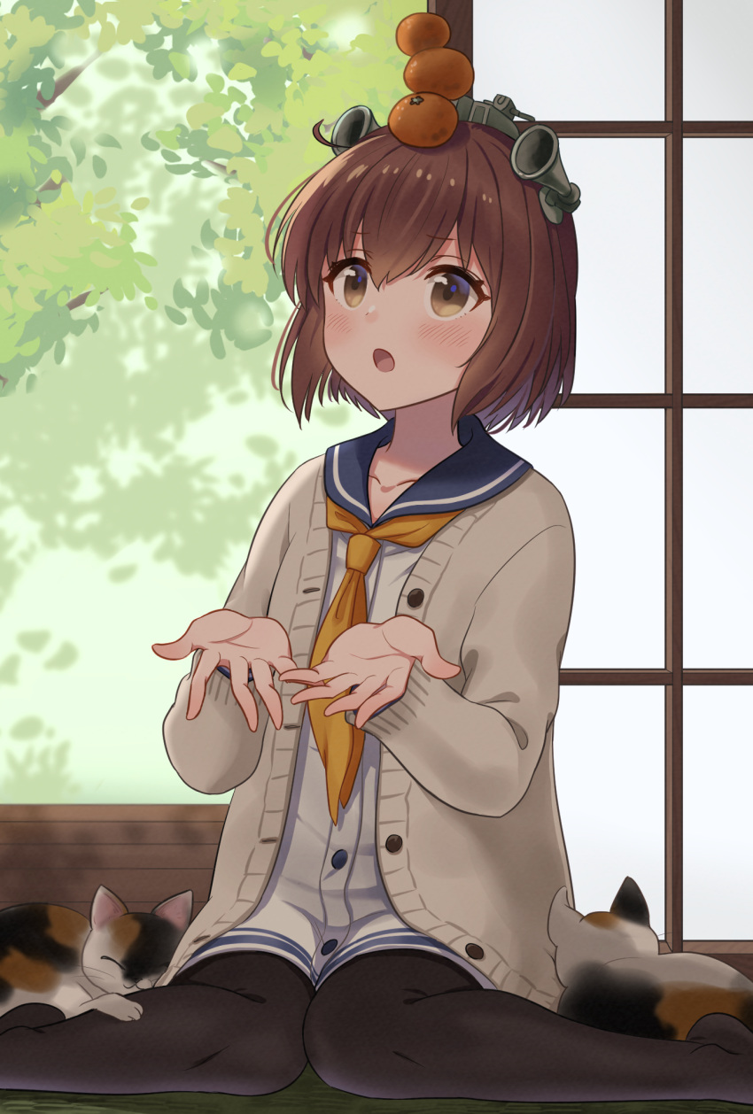 1girl alternate_legwear black_legwear blue_sailor_collar blush brown_cardigan brown_hair cardigan cat door eyebrows_visible_through_hair food fruit hair_between_eyes headgear headset highres indoors kantai_collection mandarin_orange natsume_(natsume_melio) neckerchief open_cardigan open_clothes open_door open_mouth pantyhose sailor_collar short_hair shouji sitting sliding_doors solo speaking_tube_headset tree yellow_neckerchief yukikaze_(kancolle)