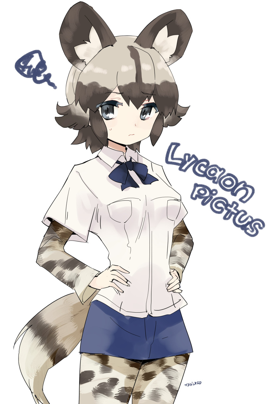 1girl 3: absurdres african_wild_dog_(kemono_friends) african_wild_dog_ears african_wild_dog_print african_wild_dog_tail animal_ears animal_print annoyed artist_name blonde_hair blue_ribbon breast_pocket brown_hair character_name closed_mouth collared_shirt commentary cowboy_shot denim denim_shorts eyebrow_twitching eyebrows eyebrows_visible_through_hair fingernails grey_eyes hair_between_eyes hands_on_hips highres kamaboko_red kemono_friends long_sleeves looking_at_viewer multicolored_hair neck_ribbon pocket print_legwear print_shirt ribbon scientific_name shirt short_hair short_over_long_sleeves short_shorts short_sleeves shorts signature simple_background solo squiggle sweat tail two-tone_hair wavy_mouth white_background white_shirt wing_collar