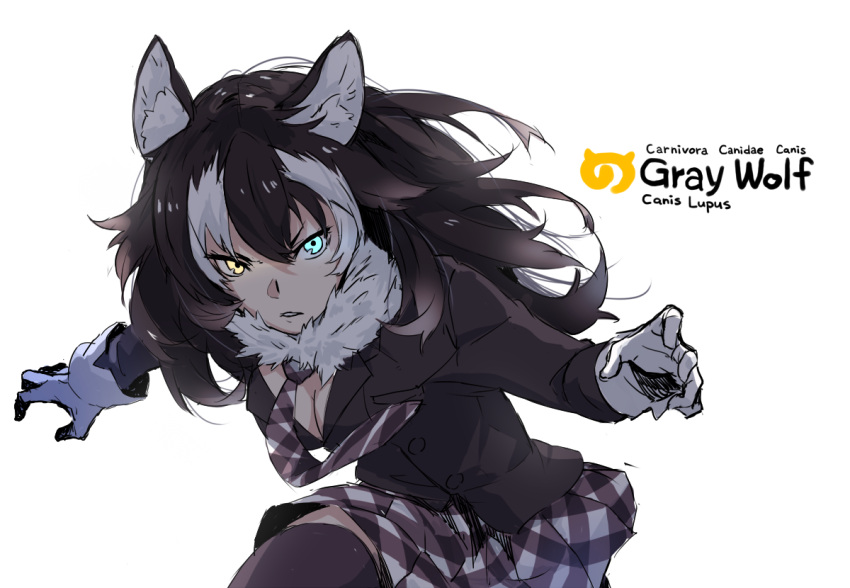 1girl animal_ears breasts cleavage coat english frown fur_collar gloves grey_wolf_(kemono_friends) heterochromia japari_symbol kemono_friends long_hair long_sleeves necktie parted_lips simple_background skirt solo tail takenisketch text thigh-highs white_background wolf_ears wolf_tail