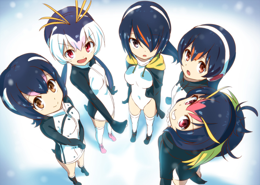 5girls black_hair blush breasts brown_eyes covered_navel emperor_penguin_(kemono_friends) from_above gentoo_penguin_(kemono_friends) grin hair_between_eyes hair_over_one_eye headphones highleg hood hoodie humboldt_penguin_(kemono_friends) jacket kemono_friends large_breasts leotard long_hair long_sleeves looking_at_viewer looking_up multicolored_hair multiple_girls open_clothes open_mouth penguins_performance_project_(kemono_friends) pleated_skirt red_eyes rockhopper_penguin_(kemono_friends) royal_penguin_(kemono_friends) shoes short_hair skirt smile standing thigh-highs tomato_(lsj44867) white_legwear white_leotard white_skirt