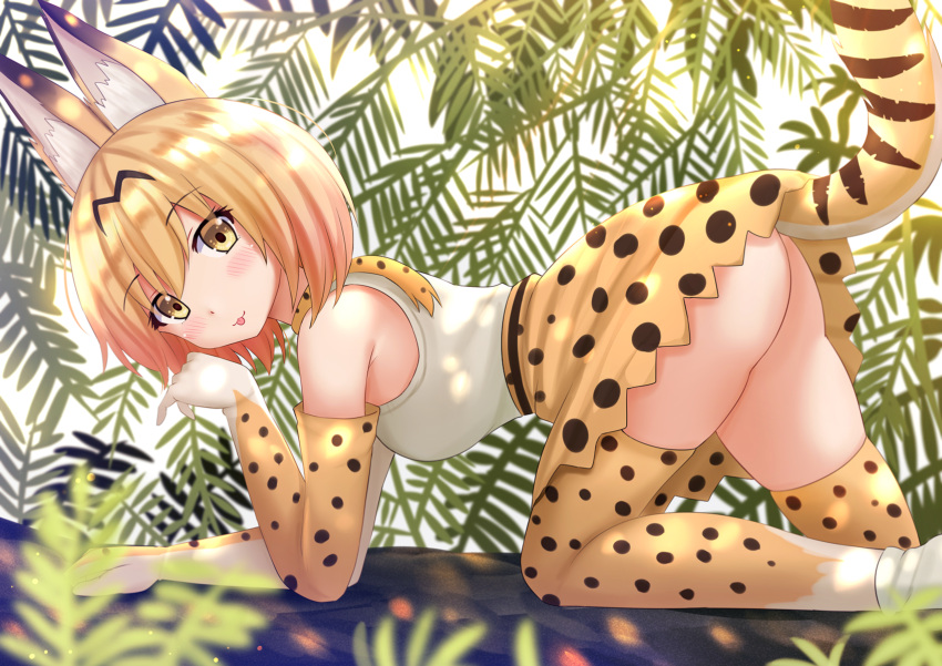 1girl :p all_fours animal_ears ass bangs bare_shoulders belt blonde_hair blush breasts brown_dress closed_mouth dress elbow_gloves eyebrows_visible_through_hair from_side gloves high-waist_skirt highres kazenokaze kemono_friends leaf legs_apart looking_at_viewer medium_breasts miniskirt no_panties no_underwear plant serval_(kemono_friends) serval_ears serval_print serval_tail shirt shoes short_dress short_hair skirt sleeveless sleeveless_shirt small_breasts smile solo tail thigh-highs tongue tongue_out white_gloves white_shirt white_shoes yellow_eyes yellow_gloves