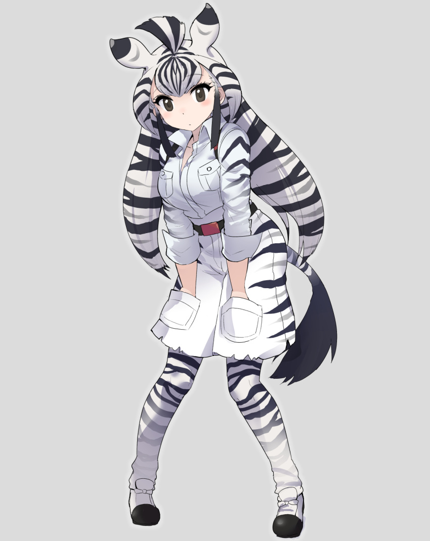 animal_ears belt black_eyes breasts cibo_(killy) commentary_request girl grey_background hands_in_pockets highres kemono_friends large_breasts looking_at_viewer serval_ears serval_print serval_tail simple_background sleeves_rolled_up solo standing tail zebra zebra_(kemono_friends)
