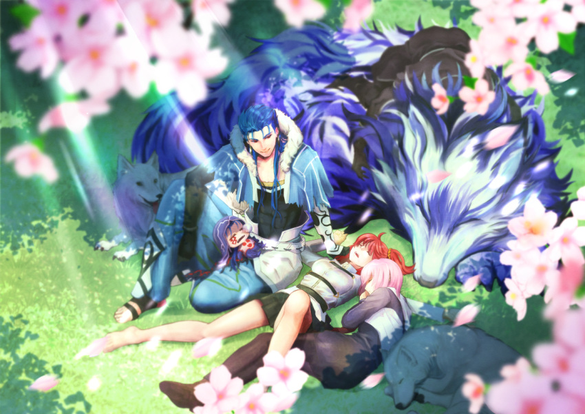 2boys 2girls ahoge black_dress black_legwear black_skirt blue_hair chibi closed_eyes closed_mouth commentary_request cu_chulainn_(fate/grand_order) cu_chulainn_alter_(fate/grand_order) dog dress fate/grand_order fate_(series) flower from_above fujimaru_ritsuka_(female) full_body grass hair_ornament hair_scrunchie hessian_(fate/grand_order) jacket kassan_(kassan_5a) knee_up lancer lobo_(fate/grand_order) long_hair lying miniskirt multiple_boys multiple_girls necktie on_back on_side open_mouth orange_hair outdoors outstretched_arms pantyhose petals pink_flower purple_hair red_eyes red_necktie scrunchie shielder_(fate/grand_order) short_hair side_ponytail skirt sleeping smile uniform