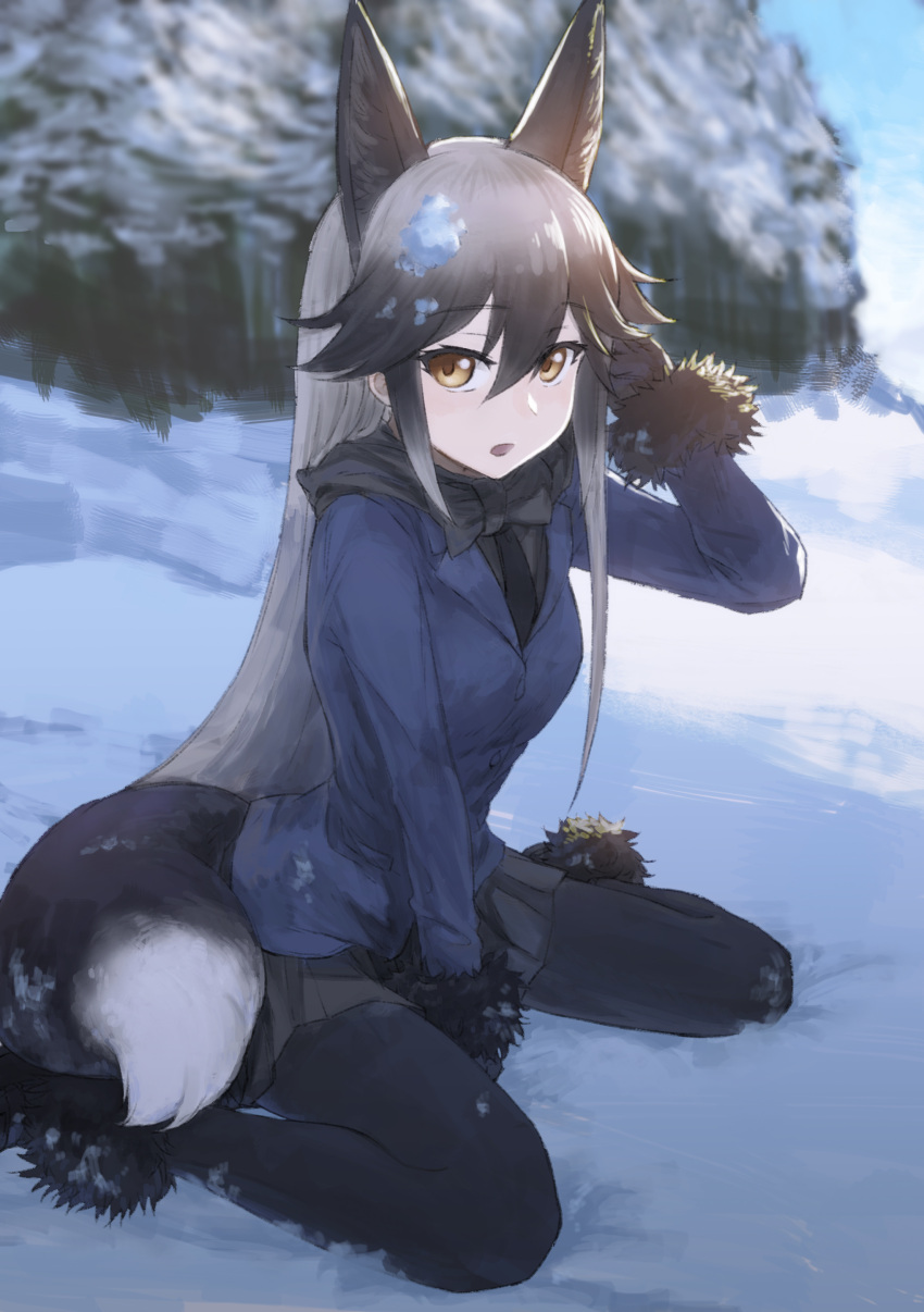 1girl absurdres animal_ears black_gloves black_necktie blazer blurry blush bow bowtie brown_eyes day depth_of_field emoshon eyebrows_visible_through_hair forest fox_ears fox_tail from_side fur_trim gloves grey_skirt hair_between_eyes highres jacket kemono_friends long_hair long_sleeves looking_at_viewer nature necktie open_mouth outdoors pantyhose pleated_skirt silver_fox_(kemono_friends) silver_hair sitting skirt snow solo tail very_long_hair wariza