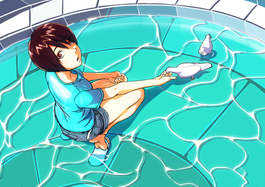 1girl bird blue_shirt brown_eyes brown_hair denim denim_shorts dove downblouse fountain from_above highres looking_at_viewer make_days open_mouth original outstretched_arm sandals shirt shorts solo wading water