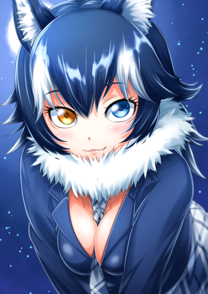 1girl animal_ears between_breasts black_hair blue_eyes blush breasts cleavage fang_out full_moon fur_collar grey_wolf_(kemono_friends) heterochromia highres kemono_friends large_breasts long_hair long_sleeves looking_at_viewer moon multicolored_hair necktie necktie_between_breasts sazanami_tarou skirt solo two-tone_hair wolf_ears yellow_eyes