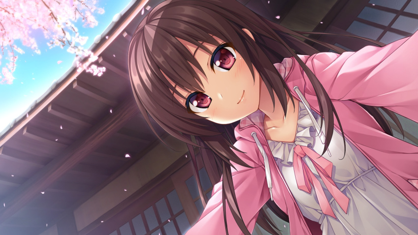 1girl akizora_momiji artist_request brown_hair building character_request cherry_blossoms close hoodie i_was_born_for_you long_hair looking_at_viewer petals red_eyes ribbon smile solo solo_focus tagme wallpaper