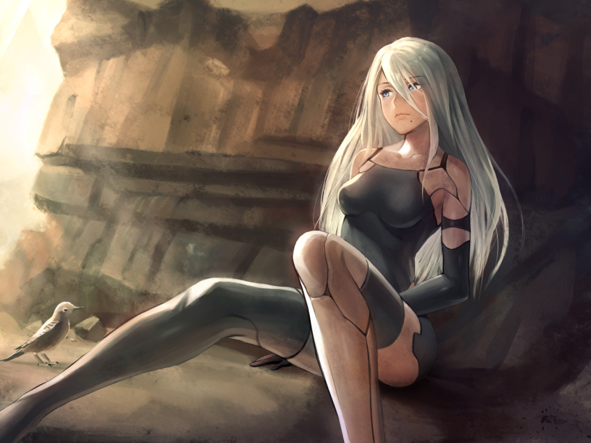 1girl android arm_at_side armlet bangs bare_shoulders bird black_gloves black_legwear black_shorts blue_eyes breasts camisole closed_mouth collarbone elbow_gloves expressionless eyebrows_visible_through_hair gloves gogo_(detteiu_de) grey_hair hair_between_eyes highres knee_up lips long_hair medium_breasts mole mole_under_mouth nier_(series) nier_automata pink_lips robot_joints rock short_shorts shorts silver_hair single_thighhigh sitting sleeveless solo sparrow stone tank_top thigh-highs yorha_type_a_no._2