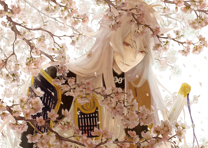 1boy artist_request bangs bare_chest cherry_blossoms eyebrows_visible_through_hair eyelashes flower hair_between_eyes hair_over_shoulder half-closed_eyes kogitsunemaru light_smile long_hair looking_at_viewer male_focus outdoors parted_bangs parted_lips petals red_eyes short_eyebrows simple_background slit_pupils solo touken_ranbu tree under_tree upper_body very_long_hair white_background wind wind_lift