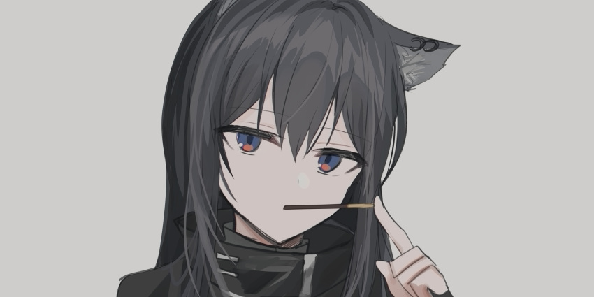 1girl absurdres animal_ear_fluff animal_ears arknights bangs black_hair black_jacket blue_eyes chihuri eyebrows_visible_through_hair food food_in_mouth grey_background hair_between_eyes highres jacket long_hair looking_at_viewer mouth_hold pocky portrait simple_background solo texas_(arknights)