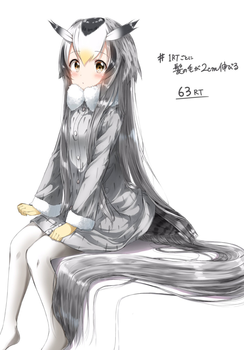 1girl absurdly_long_hair alternate_hair_length alternate_hairstyle blush brown_eyes buttons coat eyebrows_visible_through_hair fur_collar fur_trim highres kemono_friends long_hair long_sleeves looking_at_viewer no_shoes northern_white-faced_owl_(kemono_friends) pantyhose pentagon_(railgun_ky1206) silver_hair simple_background sitting solo translated very_long_hair white_background white_legwear