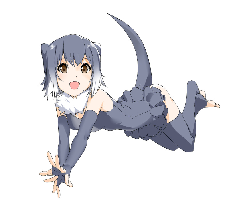 1girl :d animal_ears bare_shoulders breasts brown_eyes cirnocchi cleavage collar elbow_gloves fingerless_gloves floating frilled_swimsuit frills full_body fur_collar gloves gradient_hair grey_gloves grey_hair grey_legwear grey_swimsuit kemono_friends legs_up looking_at_viewer lying medium_breasts multicolored multicolored_clothes multicolored_hair multicolored_swimsuit no_shoes on_stomach one-piece_swimsuit open_mouth otter_ears otter_tail short_hair simple_background small-clawed_otter_(kemono_friends) smile solo swimsuit tail thigh-highs toeless_legwear tsurime two-tone_hair white_background white_hair