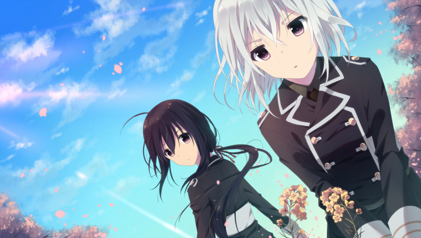 2boys ahoge black_hair blue_sky cherry_blossoms dutch_angle flower highres honebami_toushirou looking_back male_focus military military_uniform multiple_boys namazuo_toushirou necktie petals ponytail re_moyo sky touken_ranbu tree uniform violet_eyes white_hair