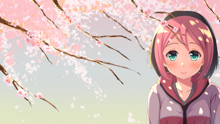 1girl black_hair black_shirt blurry blush cherry_blossoms closed_mouth collarbone depth_of_field eyebrows_visible_through_hair green_eyes hair_between_eyes highres hood hooded_jacket jacket john_zheng looking_at_viewer multicolored_hair osu! pink_hair pippi_(osu!) shirt short_hair smile solo tree_branch two-tone_hair upper_body