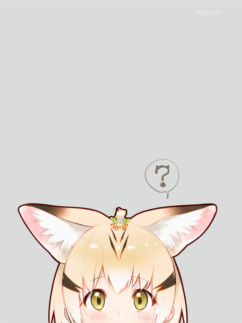1girl ? animal_ears blonde_hair blush cat_ears eyebrows_visible_through_hair frog green_eyes grey_background highres iku_ki kemono_friends looking_at_viewer on_head sand_cat_(kemono_friends) simple_background thought_bubble twitter_username
