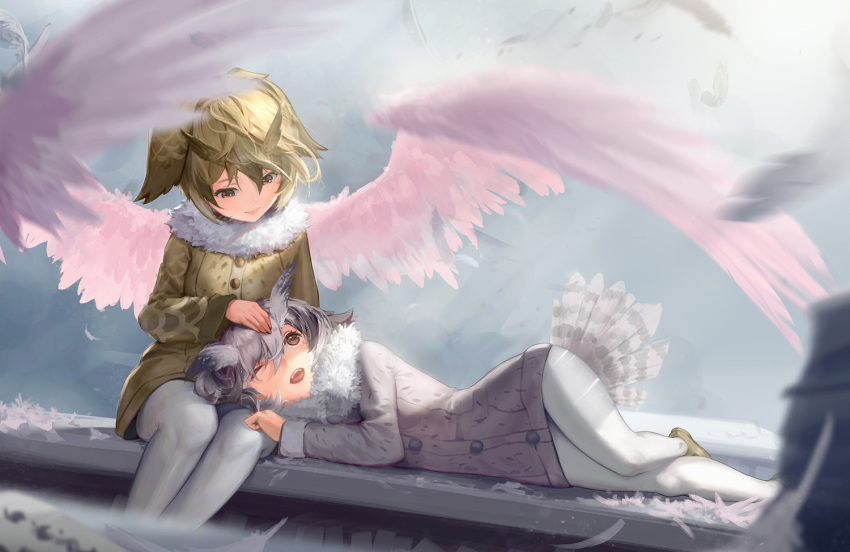 2girls ;d alternate_wings angel_wings blurry brown_eyes buttons clenched_hand coat collar depth_of_field eurasian_eagle_owl_(kemono_friends) eye_contact eyelashes feathered_wings feathers fur_collar gradient_hair grey_coat grey_hair hair_between_eyes hand_on_another's_head hand_on_another's_thigh head_wings kemono_friends lap_pillow legs_together light_brown_eyes light_brown_hair long_sleeves looking_at_another looking_down looking_up lying mary_janes multicolored_hair multiple_girls northern_white-faced_owl_(kemono_friends) on_side one_eye_closed open_mouth outdoors pantyhose petting pocket sanpaku shoes short_hair sitting sky sleeve_cuffs smile spread_wings tareme teeth tsurime two-tone_hair upper_teeth white_hair white_legwear wings yellow_footwear yellow_shoes yuho_(goodtest)