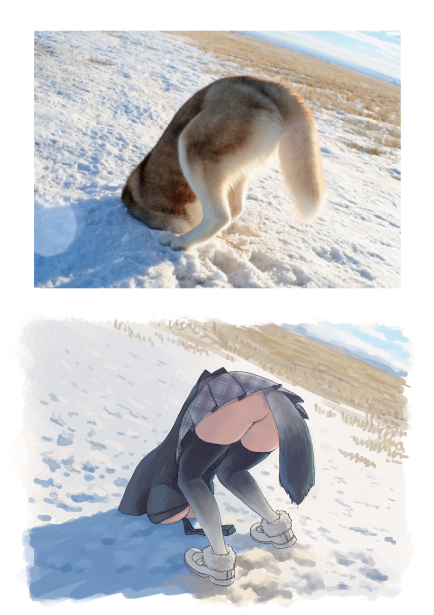 absurdres animal_ears ass bent_over coat comparison cyp_tw face_down gloves grass grey_wolf grey_wolf_(kemono_friends) highres kemono_friends on_ground outdoors pleated_skirt real_life_insert simple_background skirt sky snow tail top-down_bottom-up upskirt white_background wolf wolf_ears wolf_tail