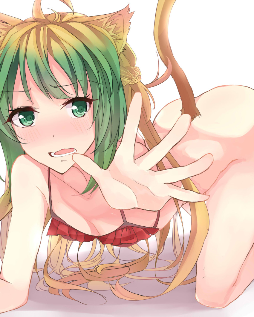 1girl ahoge all_fours animal_ears archer_of_red blonde_hair blush breasts cat_ears cat_tail cleavage fate/apocrypha fate/grand_order fate_(series) green_eyes green_hair highres long_hair multicolored_hair nose_blush outstretched_arm reaching_out small_breasts solo tail