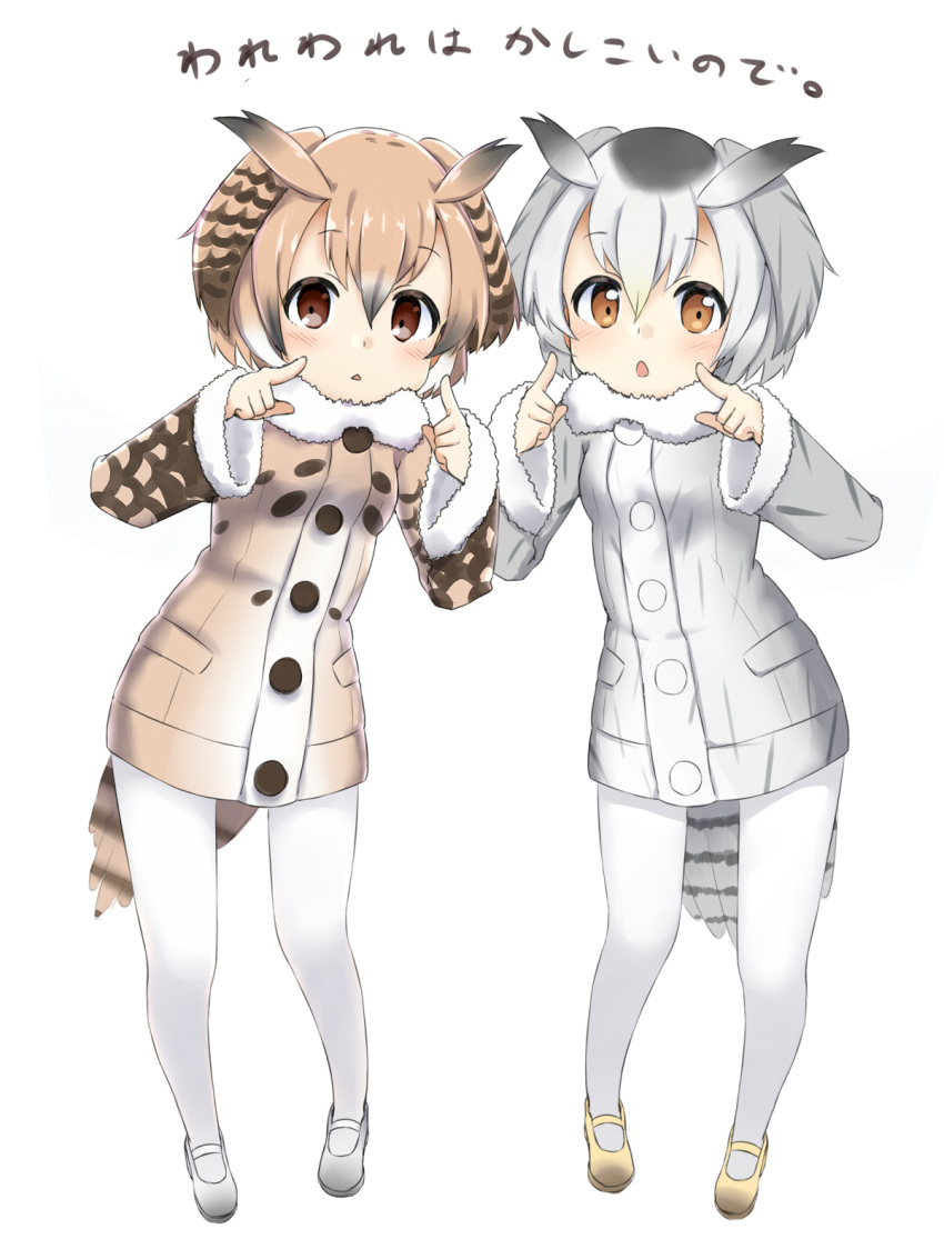 2girls blush brown_eyes brown_hair buttons chestnut_mouth coat commentary_request eurasian_eagle_owl_(kemono_friends) eyebrows_visible_through_hair fur_collar grey_hair hair_between_eyes head_wings highres kemono_friends long_sleeves looking_at_viewer multicolored_hair multiple_girls northern_white-faced_owl_(kemono_friends) open_mouth pantyhose pointing pointing_at_self sekira_ame short_hair simple_background tail translated triangle_mouth white_background white_hair white_legwear wings