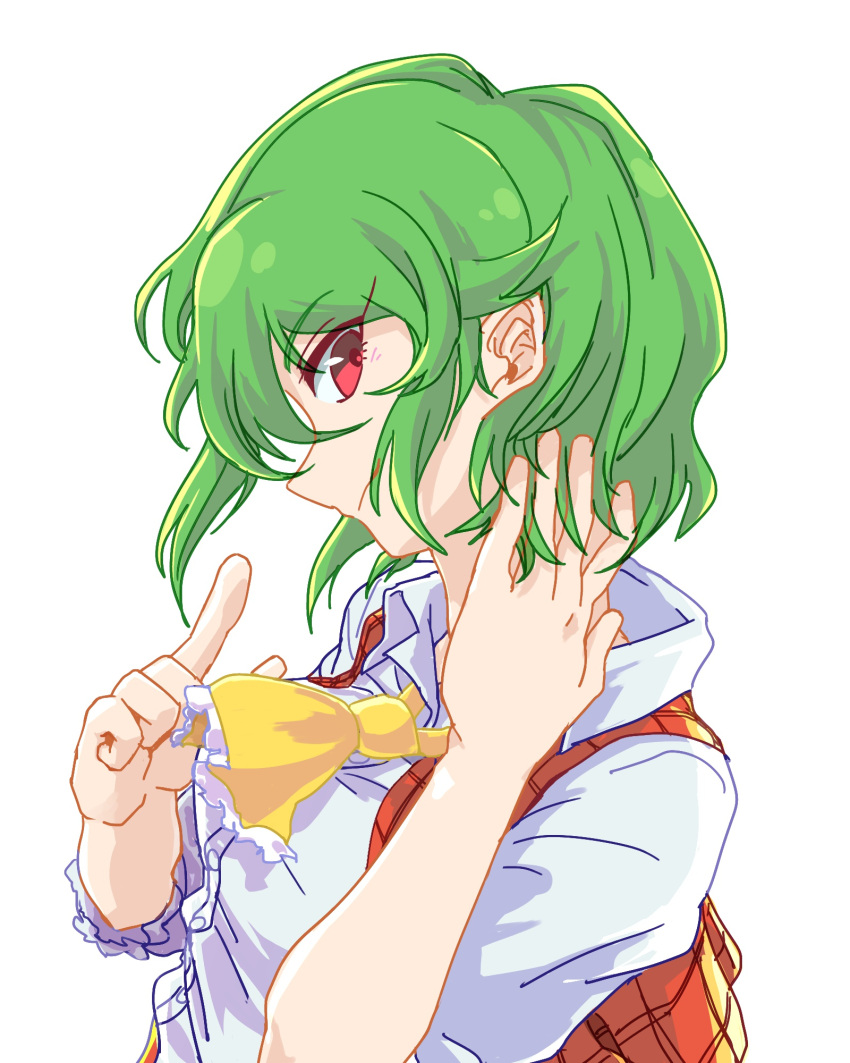 1girl ascot breasts collared_shirt green_hair hand_in_hair highres index_finger_raised kazami_yuuka looking_at_viewer plaid plaid_vest pointing profile red_eyes retora shirt short_hair simple_background smile solo touhou upper_body vest white_background