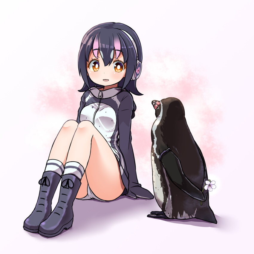 1boy 1girl :d ass bird black_hair blush boots brown_eyes cutout grape-kun headphones highres humboldt_penguin humboldt_penguin_(kemono_friends) jacket kemono_friends multicolored_hair open_mouth panties penguin personification pink_hair shikei_(jigglypuff) short_hair simple_background sitting smile white_background