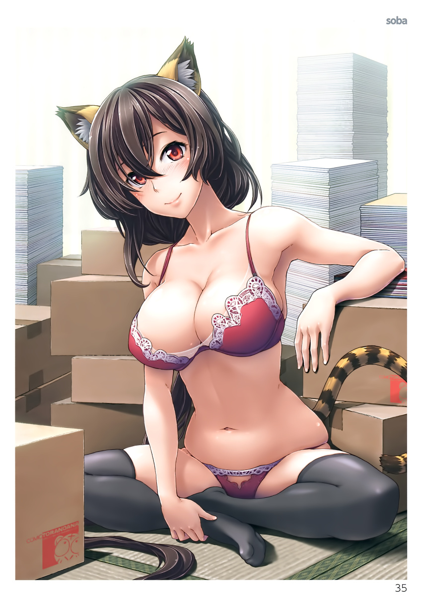 1girl absurdres animal_ears arm_rest armpits artist_name bad_anatomy black_legwear blush book_stack border box bra breasts bridal_gauntlets cardboard_box cleavage collarbone hair_between_eyes highres indian_style large_breasts long_hair looking_at_viewer navel no_shoes page_number panties red_bra red_eyes red_panties scan simple_background sitting skindentation smile soba_(saz) solo stomach tail tatami thigh-highs tiger_ears tiger_tail toranoana underwear underwear_only very_long_hair white_background white_border