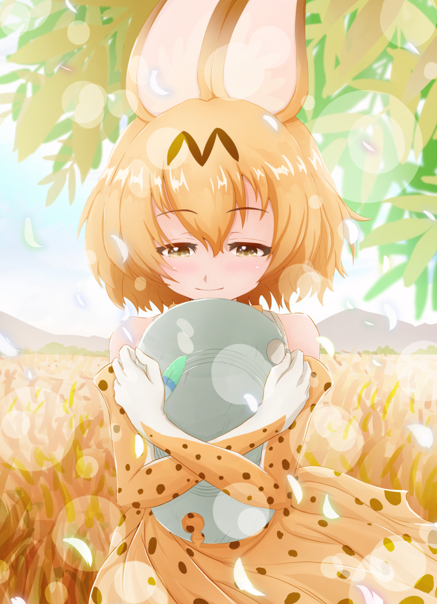 1girl animal_ears bare_shoulders blonde_hair blush brown_eyes bucket_hat closed_mouth day elbow_gloves eyebrows_visible_through_hair gloves grass hair_between_eyes hat hat_feather high-waist_skirt highres kemono_friends lens_flare object_hug outdoors pandemic14 plant savannah serval_(kemono_friends) serval_ears serval_print shirt short_hair skirt sleeveless sleeveless_shirt smile solo white_shirt wind