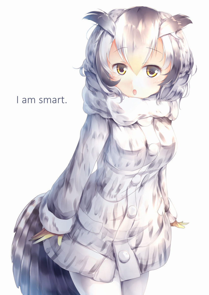 1girl blonde_hair blush coat english eyebrows_visible_through_hair gloves grey_hair hair_between_eyes highres kanzakietc kemono_friends leaning_forward long_sleeves looking_at_viewer multicolored_hair northern_white-faced_owl_(kemono_friends) open_mouth solo standing tail_feathers white_background white_hair white_legwear yellow_eyes yellow_gloves