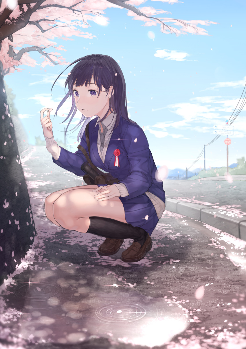 1girl bangs black_hair black_legwear blue_skirt blue_sky brown_shoes cherry_blossoms closed_mouth clouds cloudy_sky collared_shirt day dress_shirt grey_necktie highres holding jacket kneehighs legs_together loafers long_hair necktie ouchi_kaeru outdoors petals pleated_skirt power_lines puddle ribbed_legwear ripples road school_uniform shirt shoes skirt sky solo sparkle squatting sweater the_r.a.i.n.s. thighs violet_eyes white_shirt wind