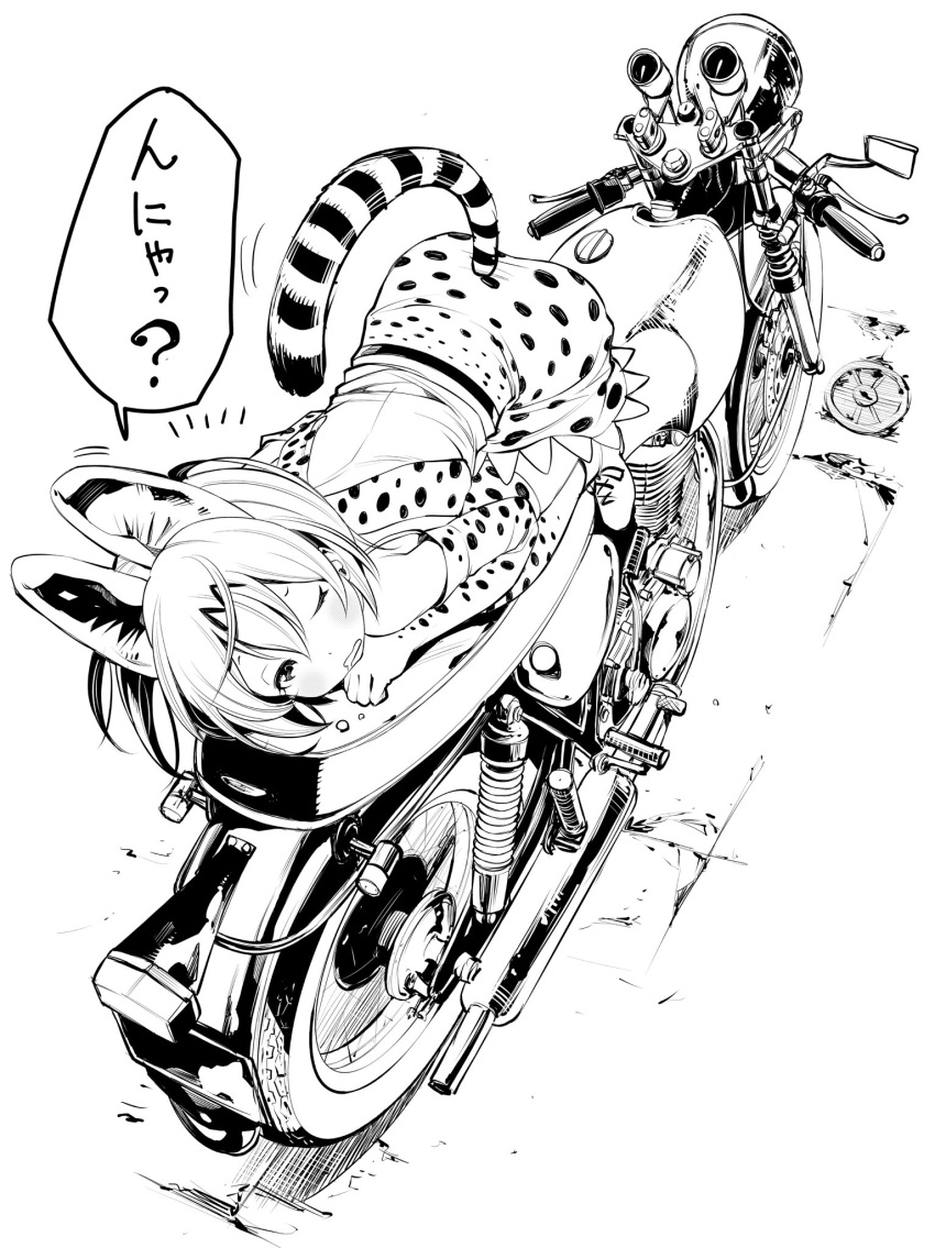 1girl animal_ears bow bowtie elbow_gloves fukushima_masayasu gloves ground_vehicle highres kemono_friends motor_vehicle motorcycle serval_(kemono_friends) serval_ears serval_print serval_tail shirt sleeveless sleeveless_shirt striped_tail tail translation_request vehicle waking_up