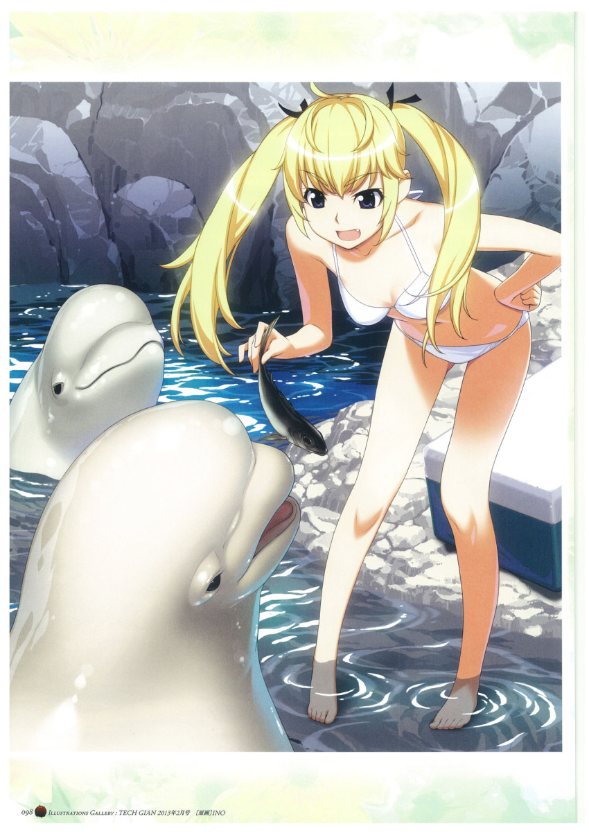 1girl barefoot bikini black_ribbon blonde_hair blue_eyes breasts cleavage collarbone day dolphin eyebrows_visible_through_hair fang feet grisaia_(series) hair_ribbon hand_on_hip highres leaning_forward long_hair matsushima_michiru navel open_mouth page_number ribbon scan small_breasts soaking_feet solo swimsuit toes twintails watanabe_akio water white_bikini