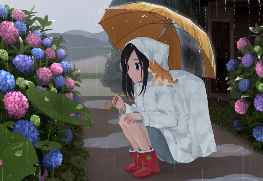 1girl absurdres animal animal_on_shoulder black_hair blue_eyes boots cat cat_on_shoulder eyebrows_visible_through_hair flower frog from_side highres holding holding_umbrella hydrangea long_hair maruhana on_shoulder original outdoors rain raincoat red_boots sidelocks solo squatting umbrella