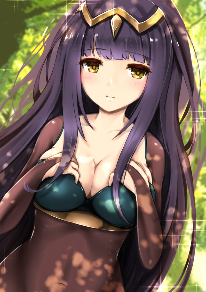 1girl absurdres black_hair blush breasts circlet cleavage commentary_request covered_navel dutch_angle eyebrows_visible_through_hair fire_emblem fire_emblem:_kakusei fire_emblem_heroes hands_on_own_chest highres long_hair looking_at_viewer revision see-through sidelocks skin_tight smile solo sparkle tayashitsu tharja tree tree_shade upper_body yellow_eyes